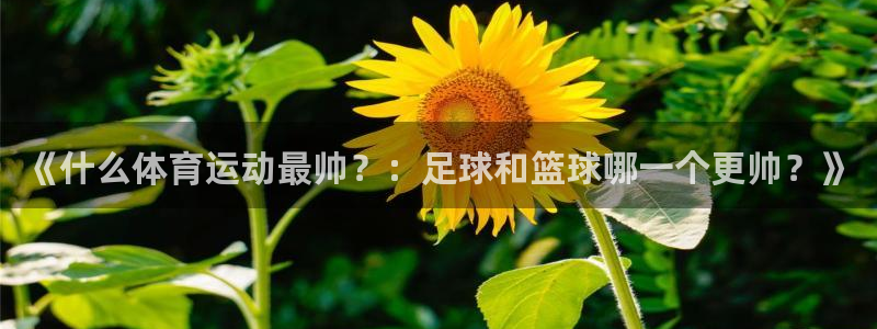 《什么体育运动最帅？：足球和篮球哪一个更帅？》