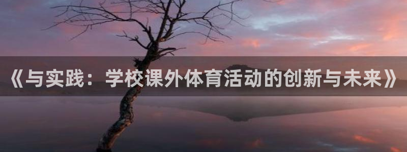 《与实践：学校课外体育活动的创新与未来》