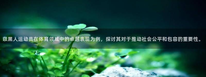 以黑人运动员在体育领域中的卓越表现为例，探讨其对于推动社会公平和包容的重要性。