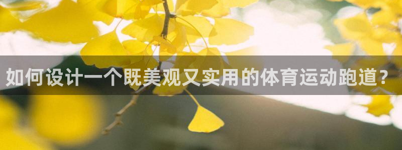 如何设计一个既美观又实用的体育运动跑道？