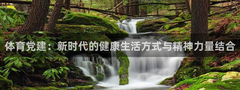 体育党建：新时代的健康生活方式与精神力量结合
