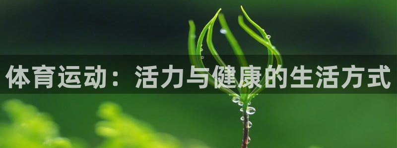 体育运动：活力与健康的生活方式
