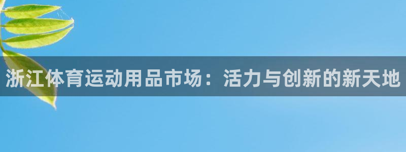 浙江体育运动用品市场：活力与创新的新天地