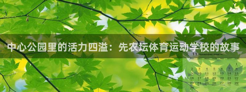 中心公园里的活力四溢：先农坛体育运动学校的故事