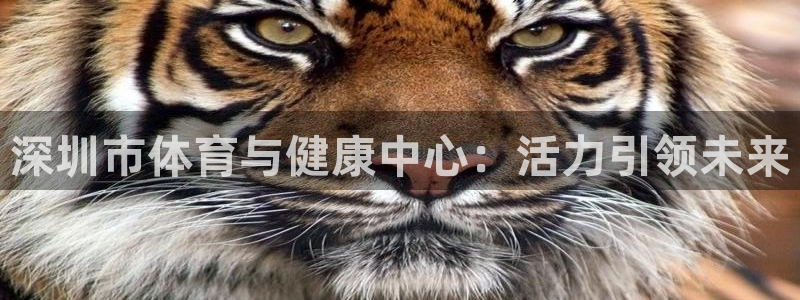 深圳市体育与健康中心：活力引领未来