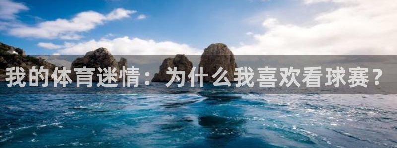 我的体育迷情：为什么我喜欢看球赛？