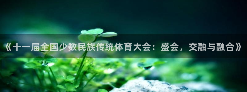 《十一届全国少数民族传统体育大会：盛会，交融与融合》