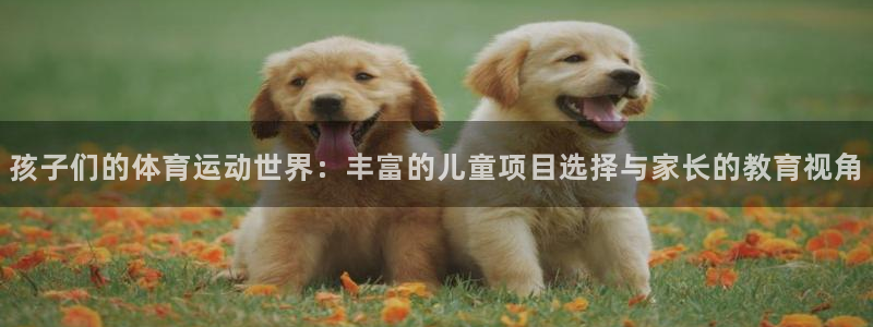 孩子们的体育运动世界：丰富的儿童项目选择与家长的教育视角